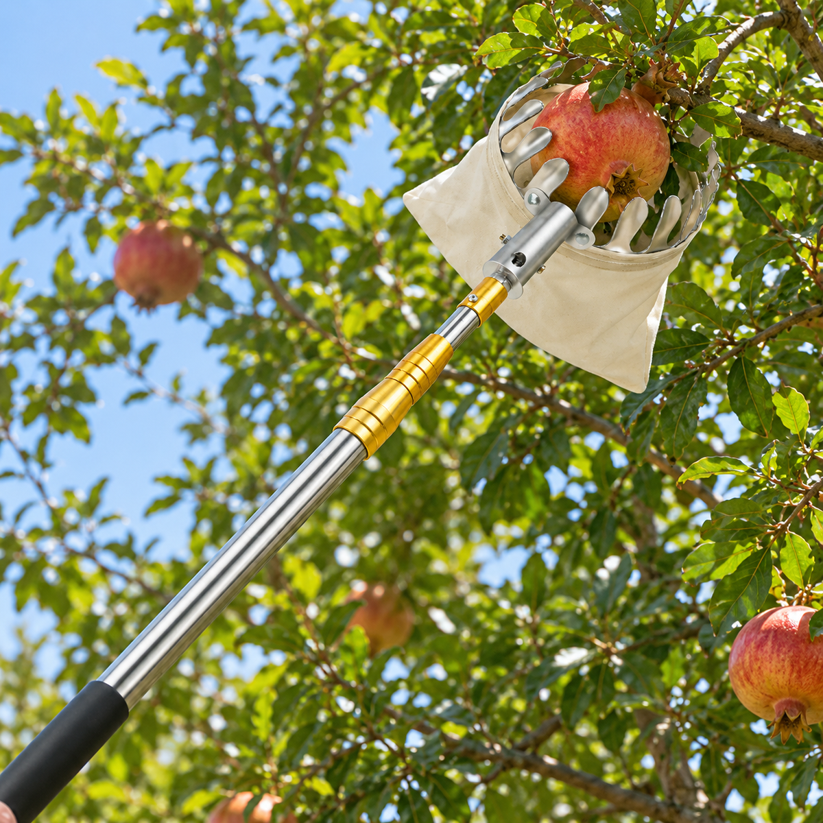 🍎 Garden Fruit Picker Tool | Long Handle Harvest Helper