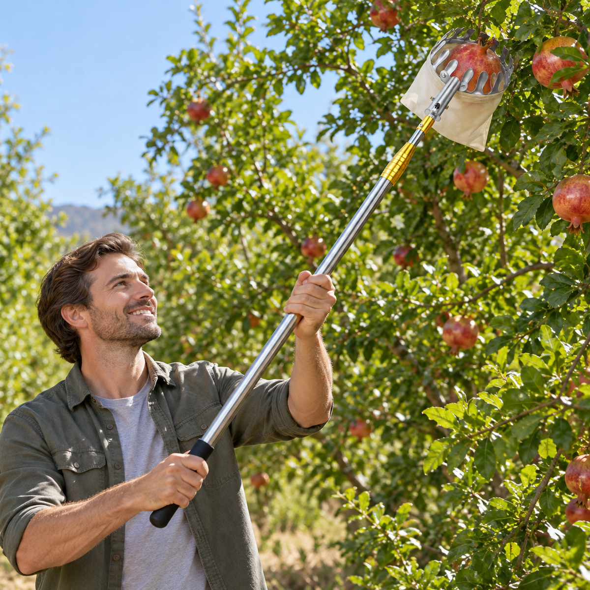 🍎 Garden Fruit Picker Tool | Long Handle Harvest Helper
